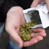 A partir de hoy hasta la policía puede comprar porros legales en Nueva Jersey