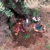 Homenaje a Fernanda de la Figuera: serás marihuana eternamente 