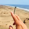 Proponen permitir el consumo de marihuana a turistas en Uruguay