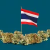Tailandia ya tiene un millón de cultivadores registrados