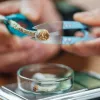 Las microdosis de psilocibina no proporcionan ningún beneficio según un estudio
