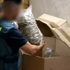 La Guardia Civil incauta un alijo de 32 toneladas de marihuana que podría ser cáñamo