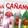 Cáñamo #300