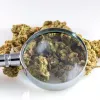 El Gobierno argentino invierte en proyectos de investigación con cannabis 