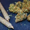 México permite a 4000 personas consumir cannabis legalmente