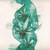 El Supremo de Arizona ampara el uso de cannabis medicinal en una embarazada