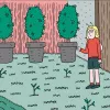 Siembra en diciembre: doce trucos y consejos 