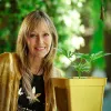 Legisladores chilenos protegen el autocultivo de cannabis medicinal