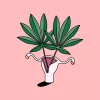 Cannabis y menstruación, lanzan una encuesta para conocer más sobre esta desconocida relación