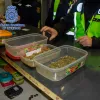 Intervienen un club de futboleros murcianos en el que se dispensaba cannabis 