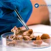 La Agencia Europea de Medicamentos explora el interés de los psicodélicos 