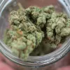 La autoridad del cannabis en Malta facilita la creación de grandes clubs