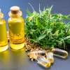 República Checa anuncia la prohibición del CBD en alimentos y suplementos 
