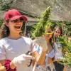 Paraguay: viaje al corazón de la sativa latinoamericana 