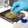 Ananda Lab y la transformación constante en la industria