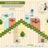 Calendario biodinámico Cañamo 308 Agosto 2023