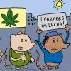 Legalize it! Abarrots