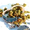 El Supremo brasileño sentencia que el olor a marihuana no justifica un registro domiciliario 