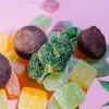 Piden que Canadá permita comestibles de cannabis de mayor potencia