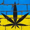 La legalización del cannabis medicinal en Ucrania se atasca por 200 enmiendas