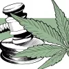 La Justicia de Bilbao declara inocente a una persona que fue detenida con 61 kilos de cannabis