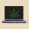 EEUU usará fondos federales para una investigación sobre cannabis medicinal