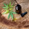 Las mejores flores de CBD en España son de Gorilla Grillz