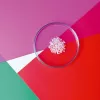 Empatógenos-entactógenos: la familia psicoactiva más cariñosa
