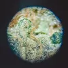 Allora: un laboratorio especializado en aromas y sabores