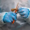 Uruguay: empresarios del cannabis medicinal exigen medidas al Gobierno para reactivar la industria