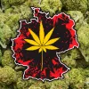 Alemania implementará la legalización del cannabis durante la Semana Santa