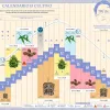 Calendario biodinamico Mayo 2024 CÁÑAMO 317