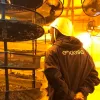 Endesa desconecta de la red eléctrica 7 plantaciones de cannabis al día