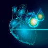 Científicos argentinos descubrieron que el cannabis reduce la hipertensión arterial