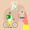 Arizona comienza hoy a vender cannabis para uso recreativo