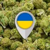 La Unión Europea podría proveer de cannabis medicinal a Ucrania