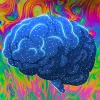 Consumir psicodélicos habitualmente reduce los dolores de cabeza en un 25%