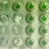 El mercado farmacéutico de cannabis no para de crecer, mientras los usuarios siguen criminalizados