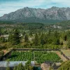 Integran ecoturismo y ciencia cannábica en la montaña argentina