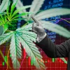 Acciones de cannabis suben tras respaldo de Trump al CBD