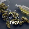 Estudio sugiere potencial analgésico no psicoactivo de CBV y THCV