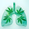 Consumo de cannabis es recurrente en pacientes con fibrosis quística