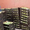 Imagen sin descripción