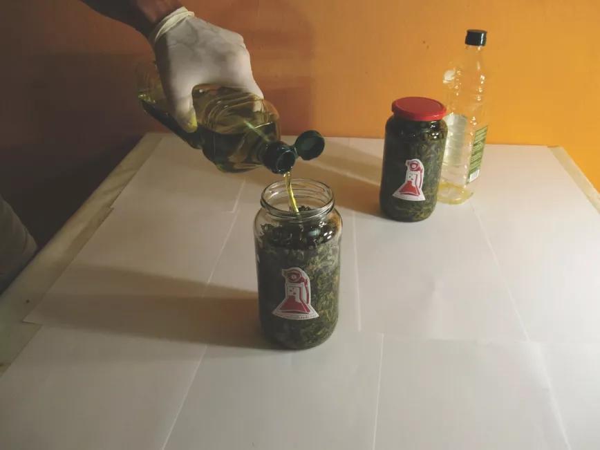 Aceite Paso 2
