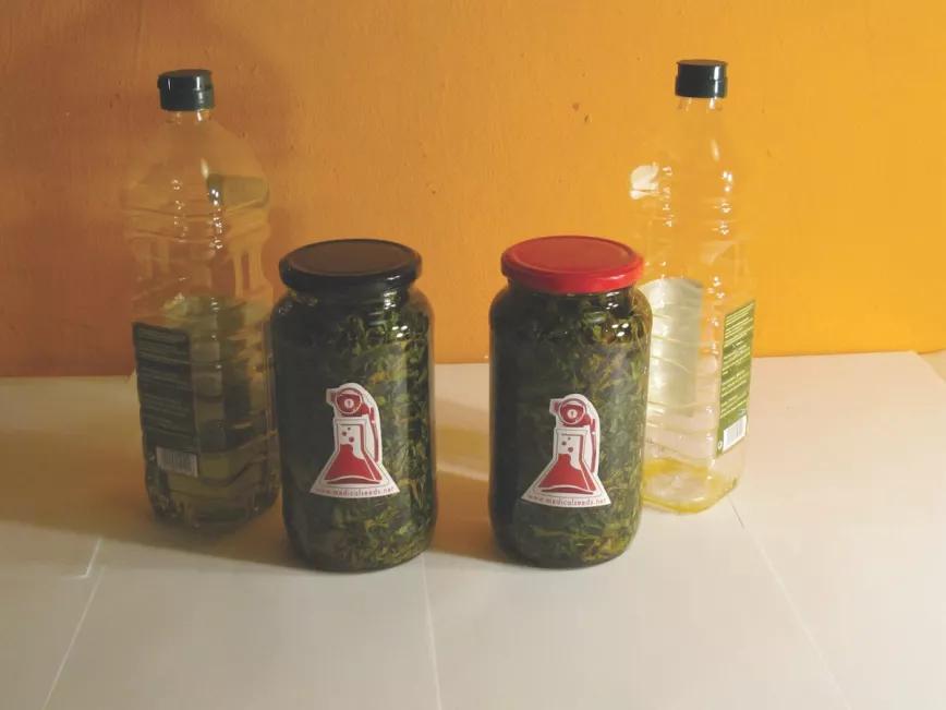 Aceite Paso 3