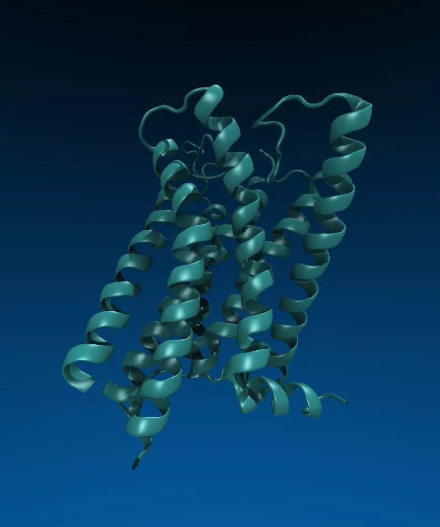 CB-1 01