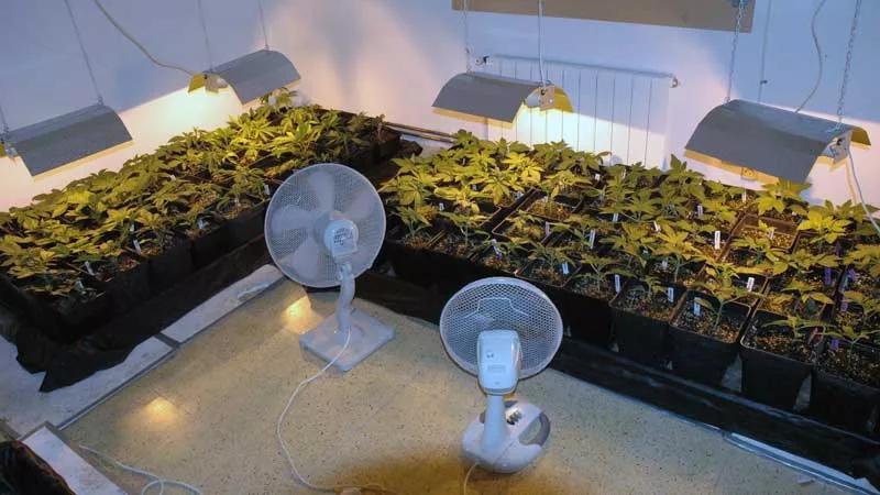 Ventiladores