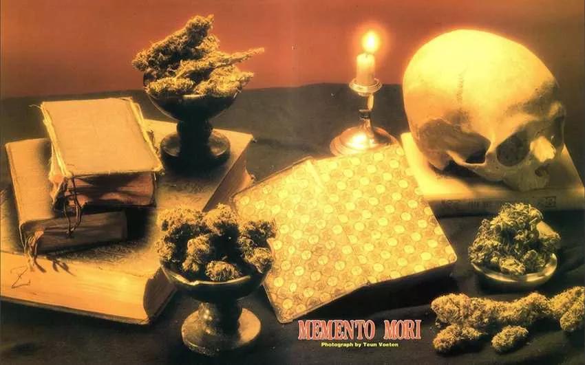 Pot High Times