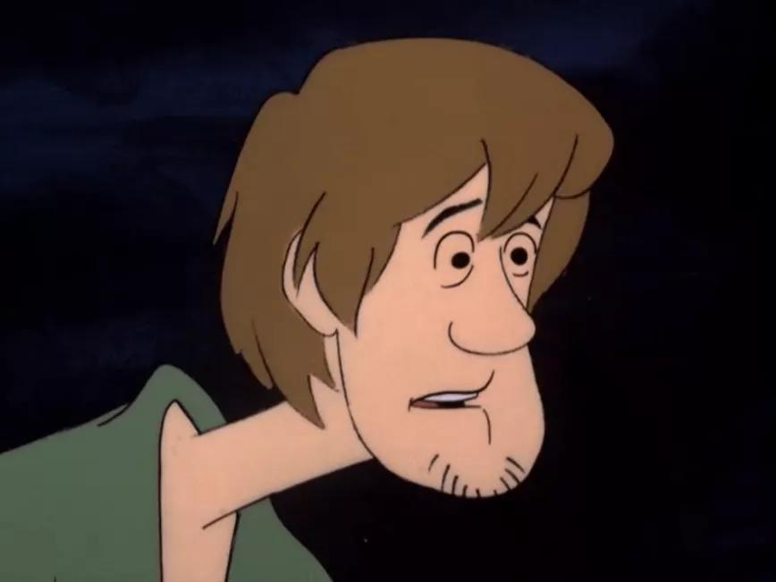 Shaggy