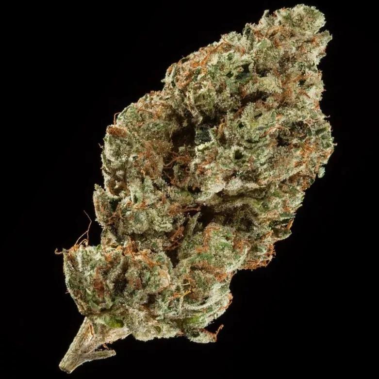 Motor Breath
